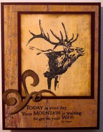 Today is your day – Elk
