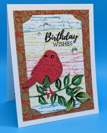 Birthday Red Robin