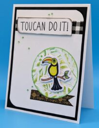 Toucan Encouragement