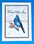 Mother’s Day Bluebird