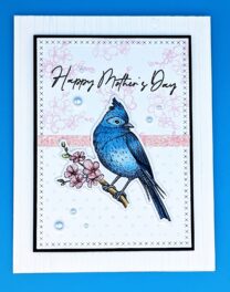 Mother’s Day Bluebird