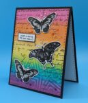 Note To Say – Butterflies