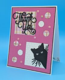 PeekaBoo Thank You Cat