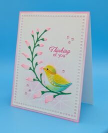 Little Bird – Thinking of You