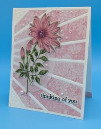 Sweet Moments – Thinking of You