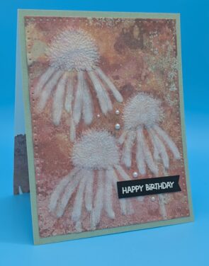 Coneflower Birthday