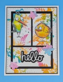 Tropical Bird Talk